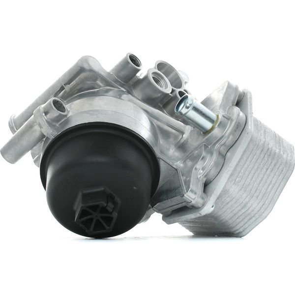 Ridex 469O0097 - Radiatore Olio Oe 1103Q1 Per Jumper, Ducato, Transit V363, Transit Tourneo, Transit, Transit Custom, Tourneo Custom, Boxer-image