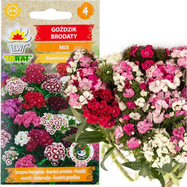 Garofano Barbuto Mix 1G Semi Di Fiori Garofani Multicolori-image