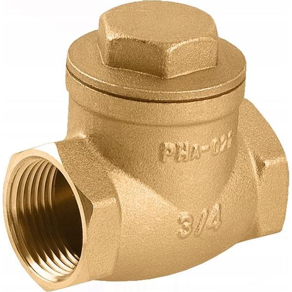 Perfexim | Valvola Di Non Ritorno Dn 80 - Ottone - Materiali Di Alta Qualità - Durevole E Affidabile-image