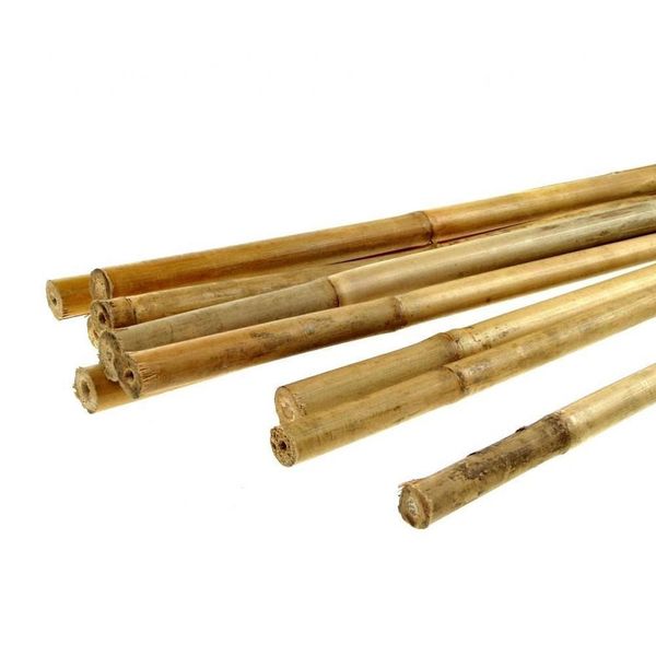 Euro NářAdí 145443 Tyč Bamboo PrůMěR 1 - 15 Cm DéLka 50 Cm-image