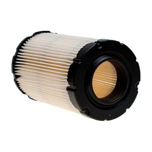 Filtro Aria Briggs&Stratton Per Trattori 796031 Originale-image