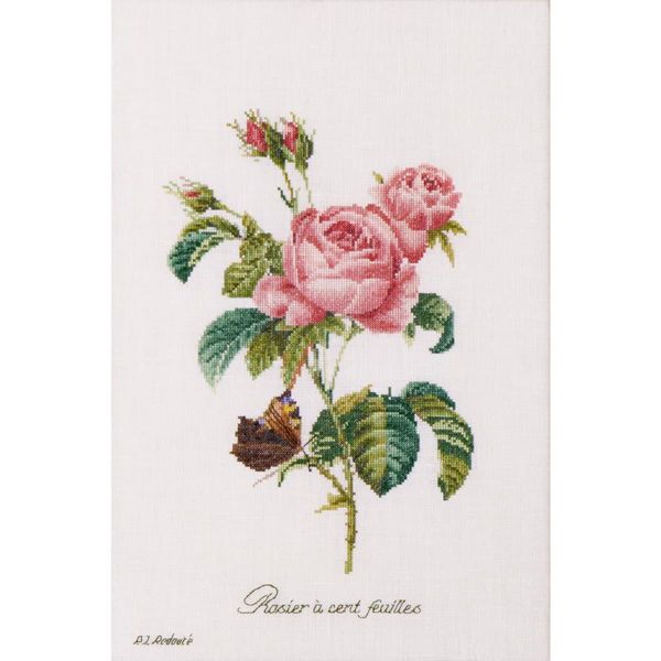 Kit Punto Croce Thea Gouverneur "Rose Redouté Evenweave"", 26X38Cm"-image