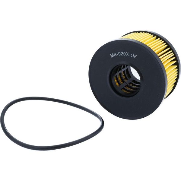 MASTER-SPORT 920X-OF-PCS-MS Filtro Olio Per Ford Mondeo Iii Turnier (Bwy)-image
