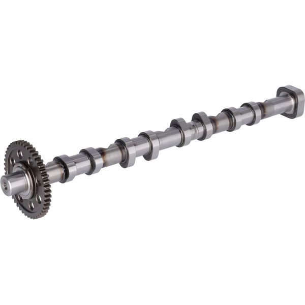 Febi Bilstein 178379 Albero A Camme Di Scarico Per Vw Golf Vi (5K1) Passat Variant (3C5) Passat Variant (365) Passat Limousine (3C2) Passat Cc (357) Cc-image