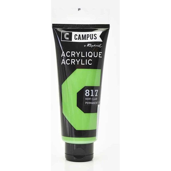 Colore Acrilico 100 Ml - Verde Chiaro N. 817-image