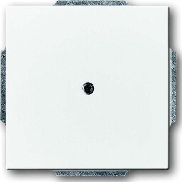 Busch-Jaeger Piastra Centrale Cieca Con Anello Di Supporto 2CKA001710A3161 1742-84-image