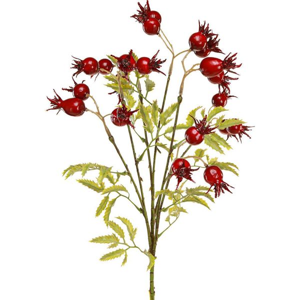 Rami Di Rosa Canina Decorativi In Filigrana Per Composizioni Autunnali E Decorazioni Da Tavola-image