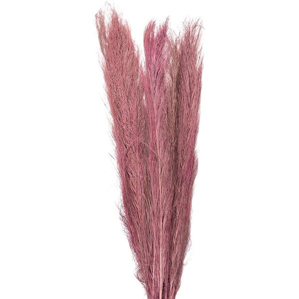 Fiori Secchi Clayre & Eef 100 Cm Fiori Secchi Marrone-image