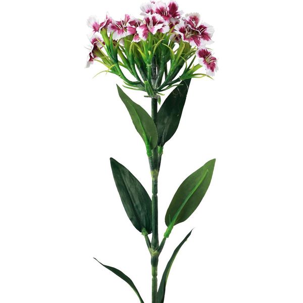 Garofano Barbuto Decorazione Fiore Artificiale Ingannevolmente Reale Di Lunga Durata-image