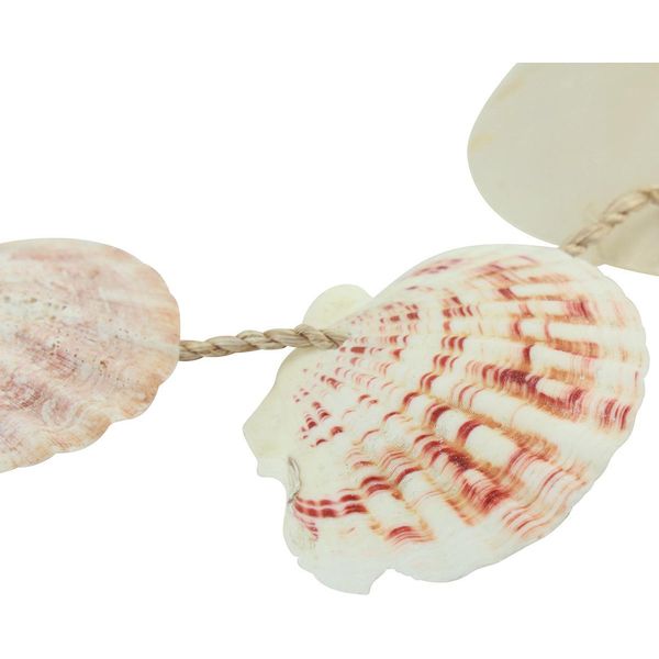 Appendiabiti Decorativi In Conchiglia Marittima Per La Decorazione Di Pareti E Balconi-image