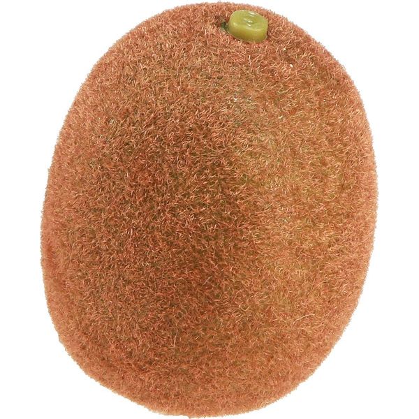 Decorazione Artificiale Di Kiwi Per La Tavola E L'arredamento D'interni-image