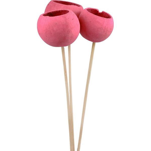 Fiori Secchi Bell Cups Per Decorazioni Creative E Composizioni Floreali, 3 Pezzi-image
