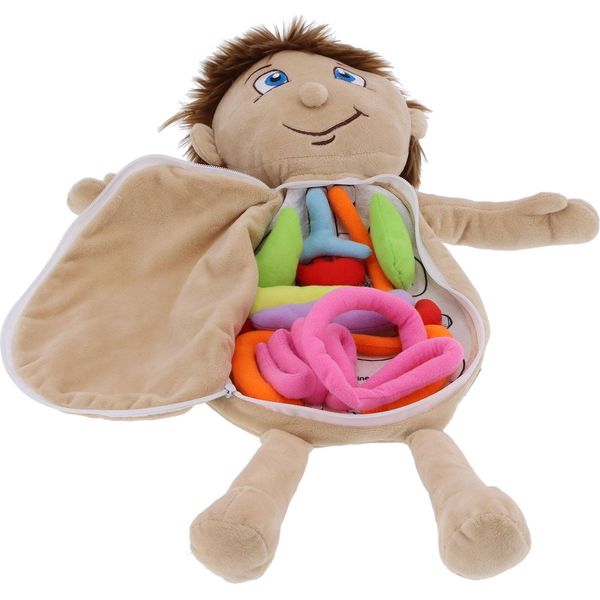 Anatomia Bambola Di Apprendimento Del Corpo Umano Organi Fisiologici Giocattolo Educativo Prescolare Ausili Didatticiboy-image