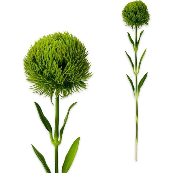 Ramo Di Crisantemo Real Touch 51 Cm Verde-image