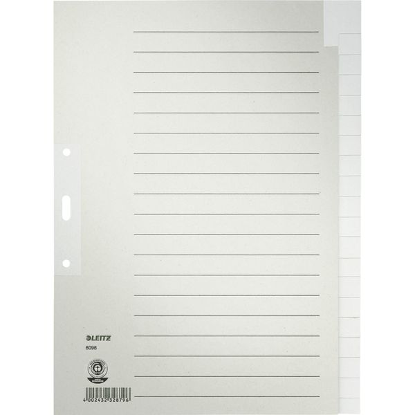 Leitz 6096-00-85 Cartelle Di Carta Scongelata, Bianche, A4, 20 Pezzi, Grigio-image