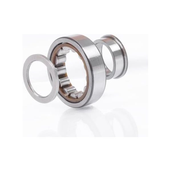Cuscinetto A Rulli Cilindrici NUP310 ECJC3 Id 50Mm Od 110Mm Larghezza27Mm Skf-image