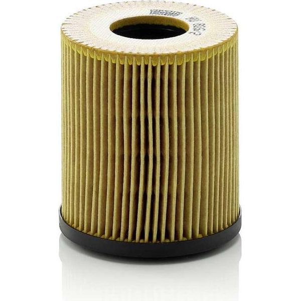 MANN-FILTER Hu 816/2 X Filtro Olio-image