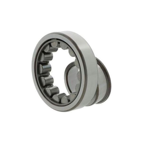 Cuscinetti A Rulli Cilindrici NJ211 ECJ/C3 Id 55Mm Od 100Mm Width21Mm Skf-image