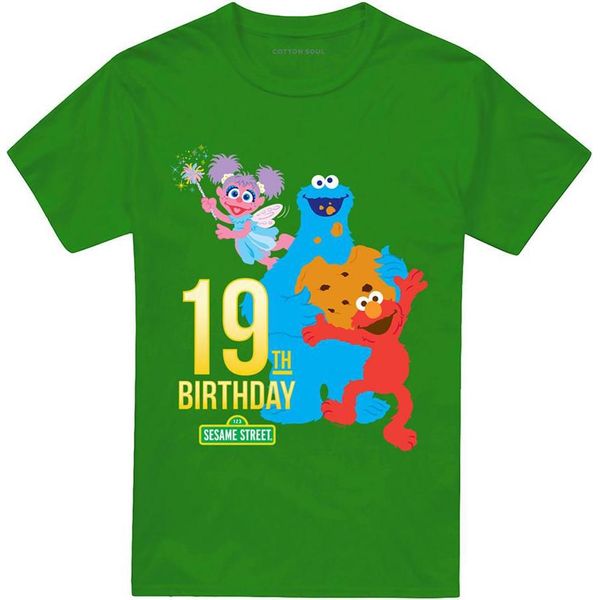 Sesame Street - Maglietta Per Uomo/Donna Unisex, 19° Compleanno TV28252 (4XL) (Irish Green)-image