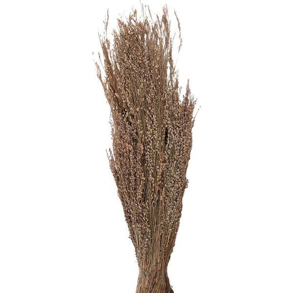 Fiori Secchi Clayre & Eef 55 Cm Fiori Secchi Beige-image