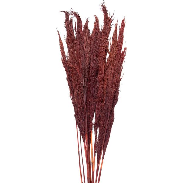 Fiori Secchi Clayre & Eef 100 Cm Fiori Secchi Rossi-image