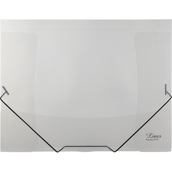 Cartelle P+P In Cartone Con Gomma Trasparente Linee Chiare 2-500-image