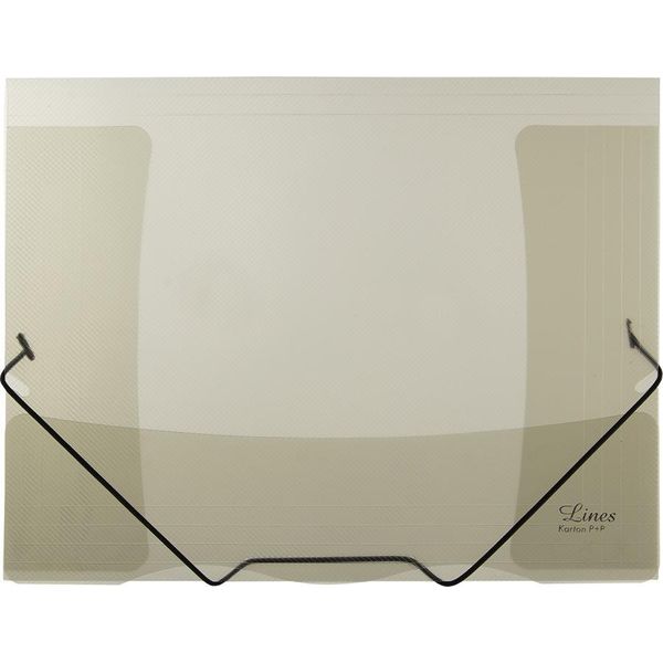 Cartelle Karton P+P Con Gomma Trasparente Linee Fumo 2-509-image