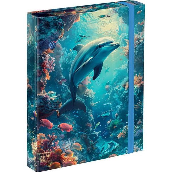 Baagl Cartelle Per Quaderni Scolastici A5 Dolphin-image