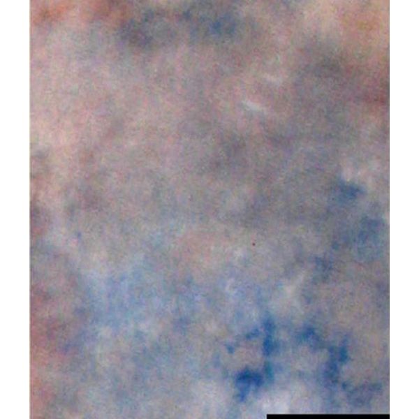 Fondo In Tessuto Falcon Eyes S122 2,9X7 M-image