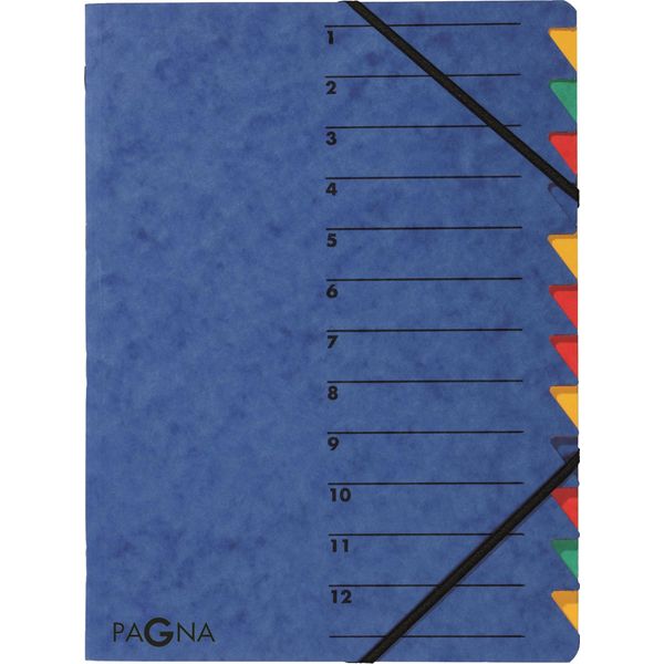 Pagna® 24131-02 Organizer Easy - 12 Scomparti, A4, Cartoncino, 265 G/M², Blu-image