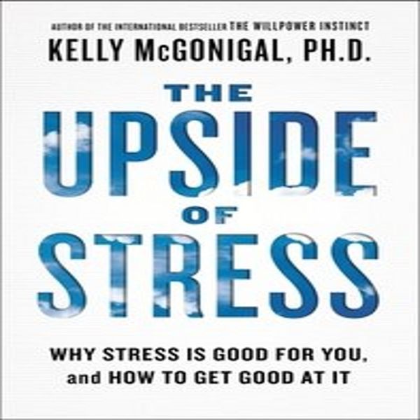 Il Lato Positivo Dello Stress-image