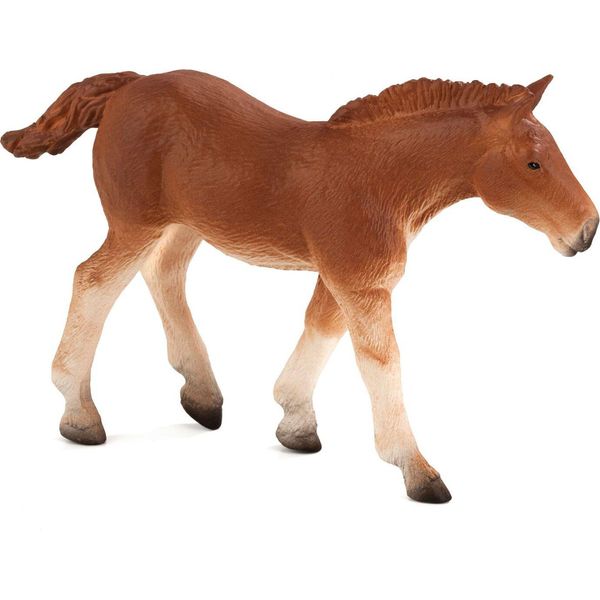 Mojo 387196 Animal Planet Suffolk Punch Foal Circa 11 X 2,5 X 7,5 Cm-image