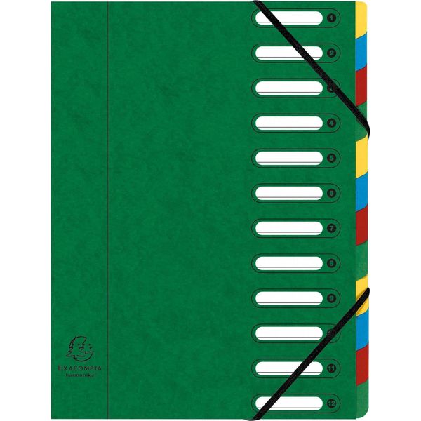 Organizer Exacompta, Din A4, Cartone, 12 Cartelle, Verde-image