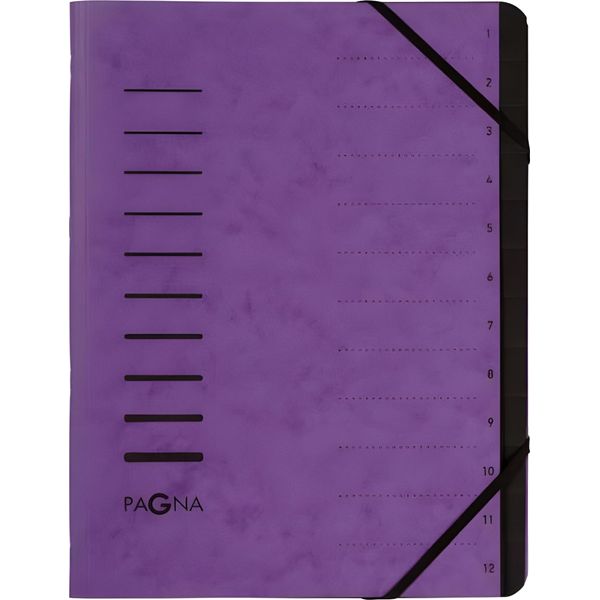 Pagna 40059-10 Organizzatore "Cartella Di Smistamento"" 12 Scomparti Viola"-image