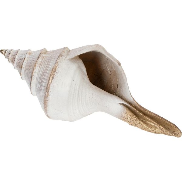 Guscio Decorativo Marittimo Per Accenti Domestici Di Stile-image