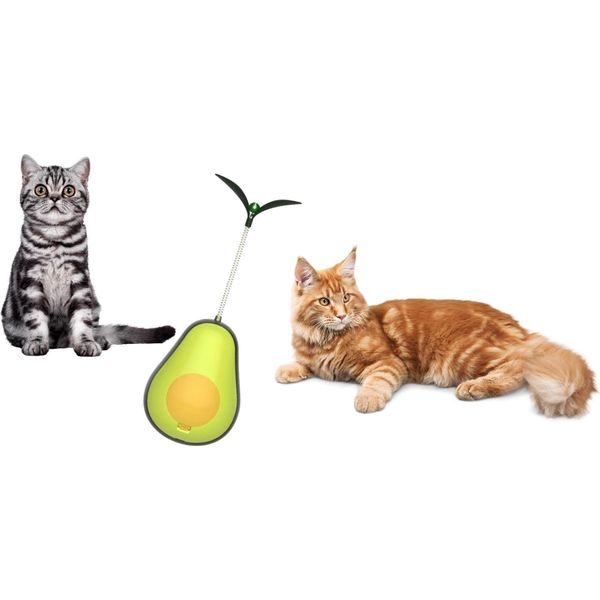 Gioco Per Gatti Con Palline Di Erba Gatta-image