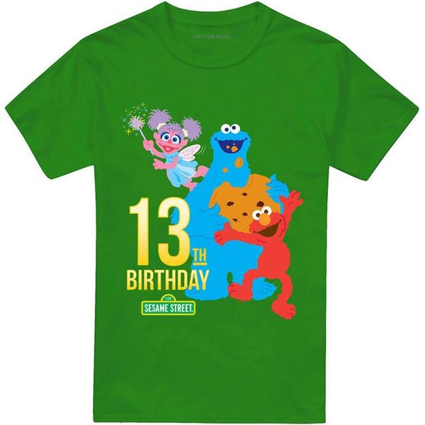 Sesame Street - Maglietta Per Uomo/Donna Unisex, 13° Compleanno TV28951 (M) (Irish Green)-image