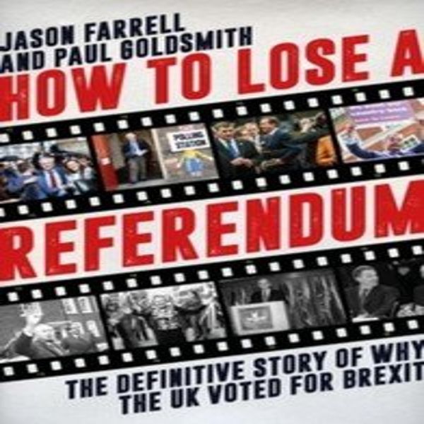 Come Perdere Un Referendum-image