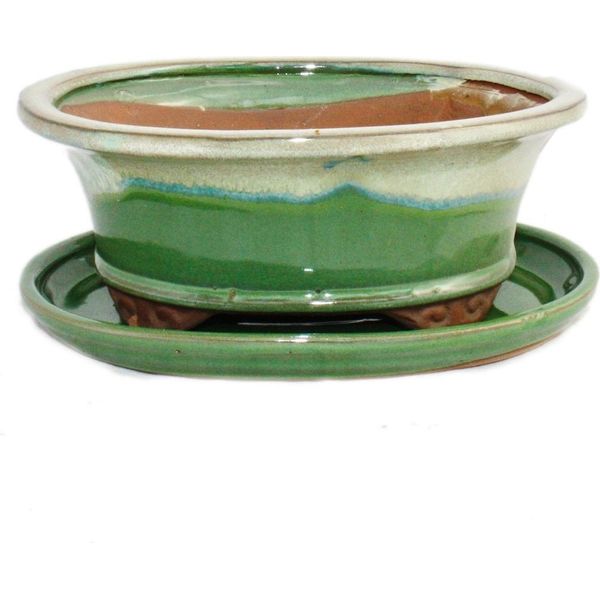 Ciotola Bonsai Con Piattino Gr. 8 Pollici - Verde-Beige - Ovale - Modello O4 - L 21 Cm - L 17 Cm - H 6 Cm-image