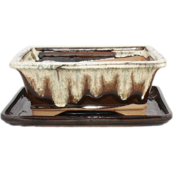 Ciotola Bonsai Con Piattino Gr. 8 Pollici - Marrone-Beige - Quadrato - Modello G93 - L 21 Cm - L 16 Cm - H 8 Cm-image