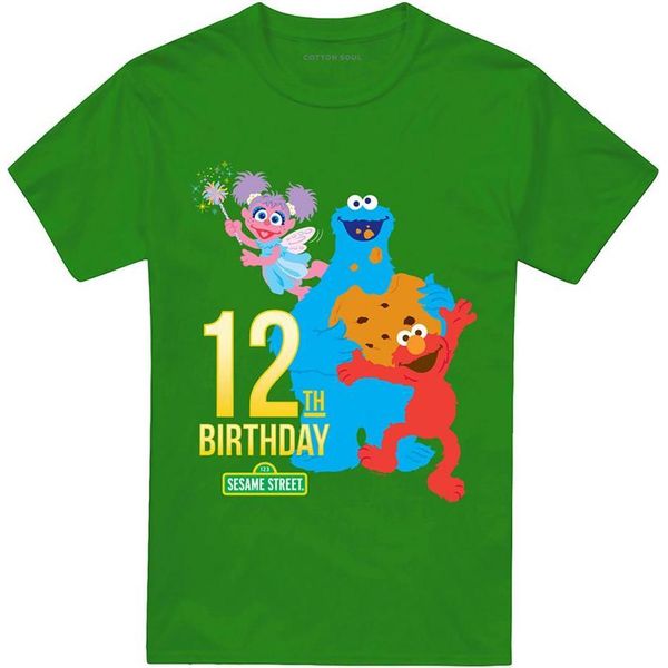 Sesame Street - Maglietta Per Uomo/Donna Unisex, 12° Compleanno TV29172 (S) (Irish Green)-image