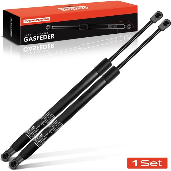 Frankberg 2X Ammortizzatore A Molla A Gas Portellone Posteriore Renault Grand ScéNic Ii ScéNic Ii Mpv 2003-2018-image