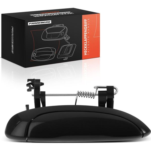 Frankberg 1X Maniglia Porta Esterna Destra Per Dacia Logan Mcv Renault Clio Ii Furgone/Hatchback I Estate Megane Cabriolet-image