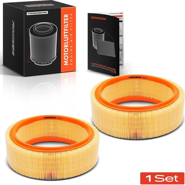 Frankberg 2X Elemento Filtrante Aria Per Dacia Logan Sandero Renault Clio Logan Megane Thalia 1.4 1.6-image