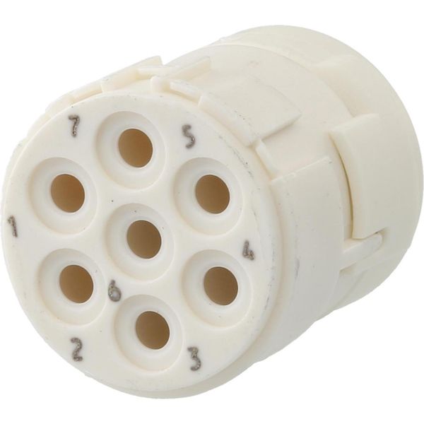 7003907102 Hummel M23 Segnale Contatto A Crimpare Inserto Presa A Crimpare, Numero Di Poli 7-Poli 300V, 20A, Colore Bianco - 1Pc-image
