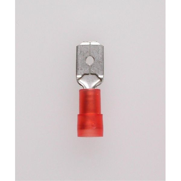 Connettore A Forcella, Spina 6,3 X 0,8 Mm Isolata, Con Crimpatura Dell'isolamento, Senza Linguetta Di Bloccaggio Sezione 0,5 Mm² - 1,5 Mm² Rosso,-image