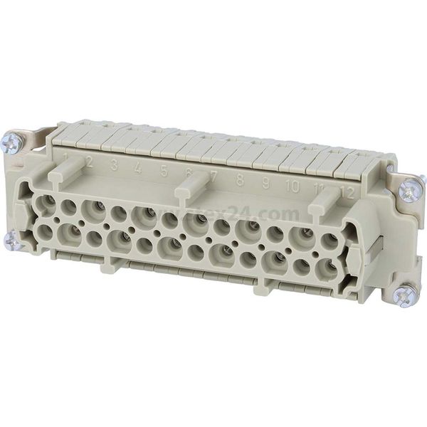 09330242772 Harting Han 24ESS Inserto Per Presa (F) A Doppia Gabbia, 24 Pin+Pe 500V, 16A - 1 Pezzo-image