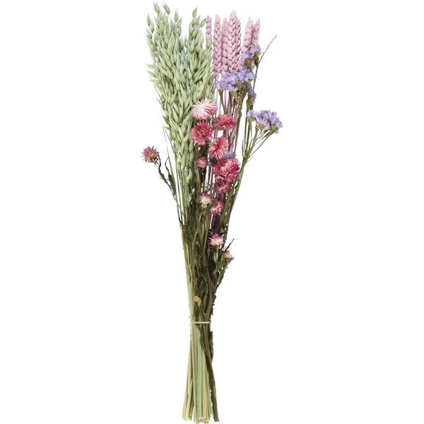 Elegante Bouquet Di Fiori Secchi Per La Decorazione E Le Idee Artigianali-image