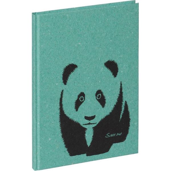 Pagna 26050-17 Pagna Notizbuch "Panda"", Din A5, 64 Blatt, Dotted, Mint"-image