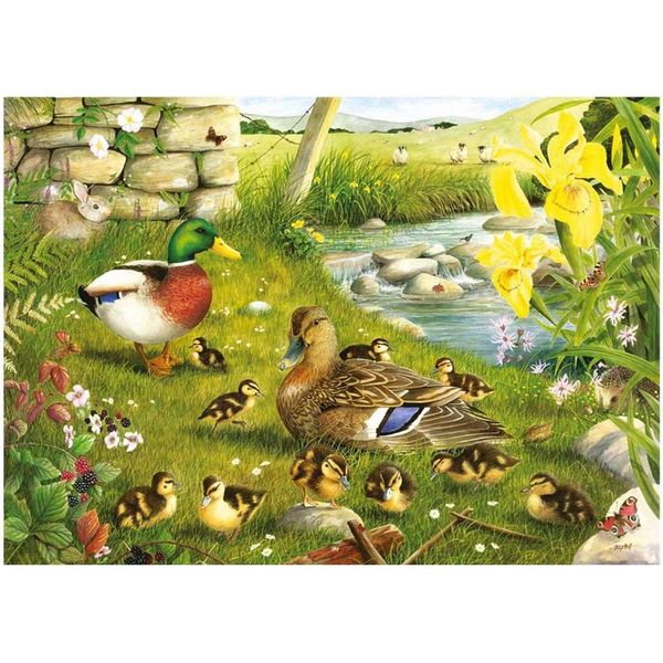 Casa Del Puzzle Anatre All'acqua 500 Xl Teile Tiere-image